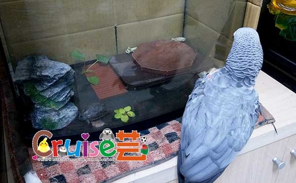 181129-圭賓 181129-圭賓