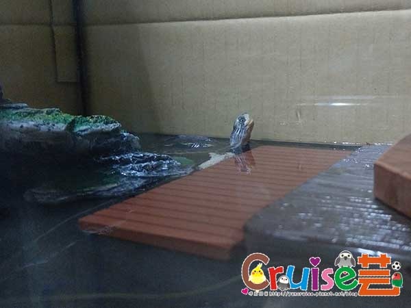 181130-(19) 181130-(19)