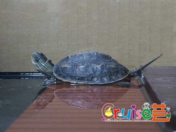 181130-(5) 181130-(5)