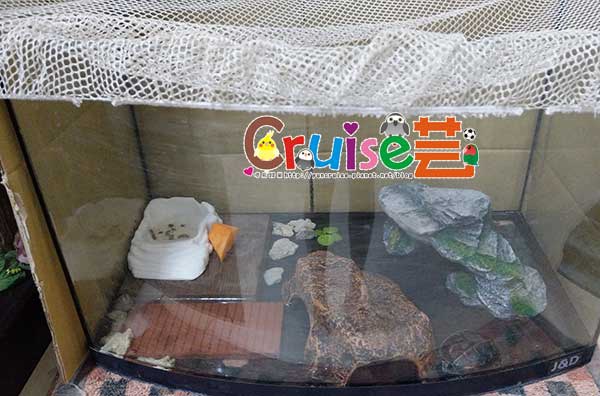 181202-(21) 181202-(21)