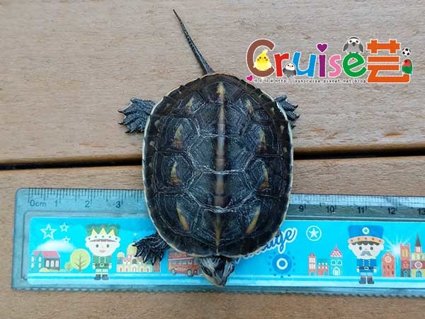 181202-(9) 181202-(9)