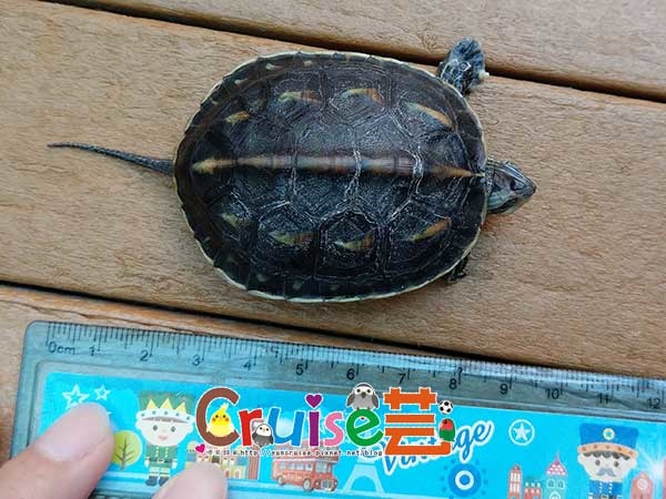 181202-(5) 181202-(5)