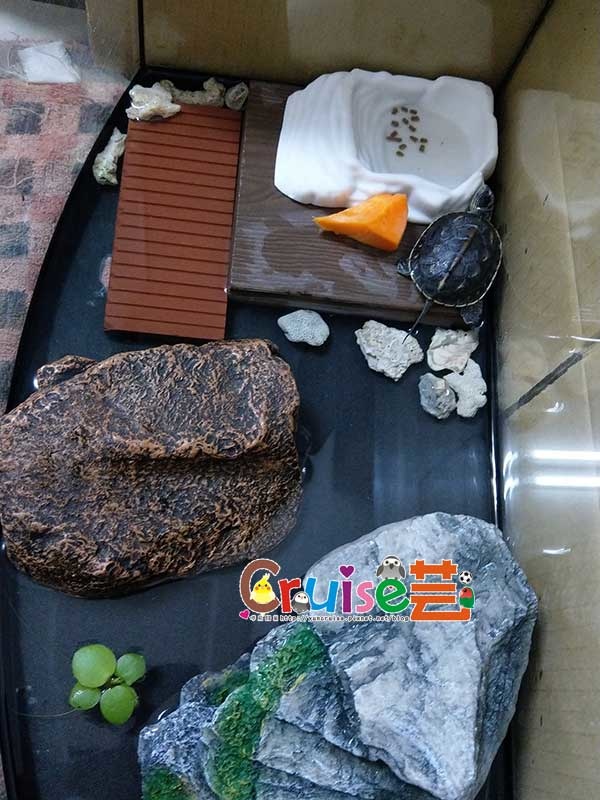 181202-(15) 181202-(15)