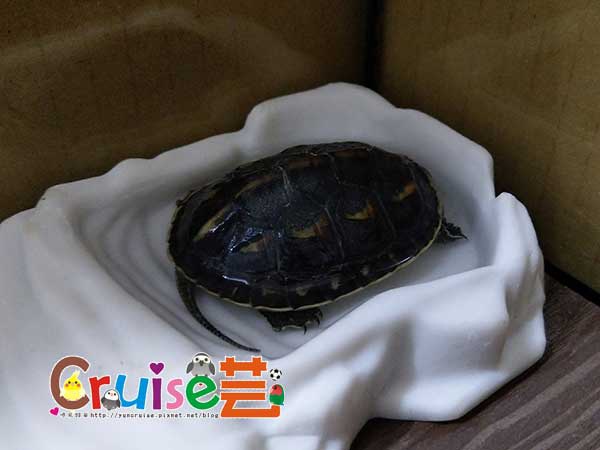 181202-(12) 181202-(12)