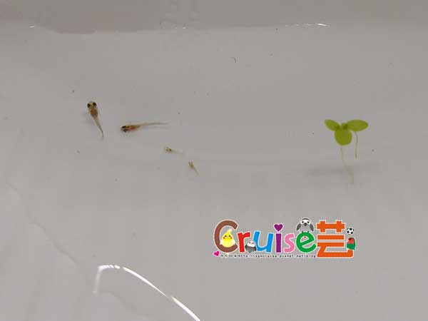 181203-(6).jpg 181203-(6).jpg