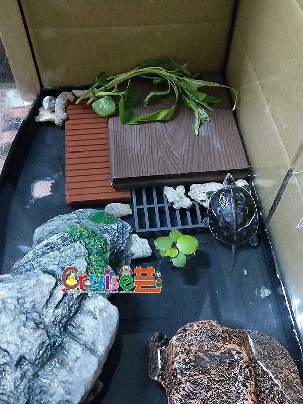 181203-(16).jpg 181203-(16).jpg