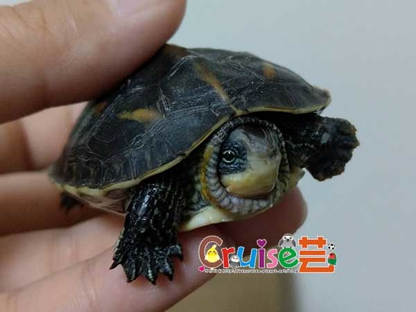 181203-(13).jpg 181203-(13).jpg