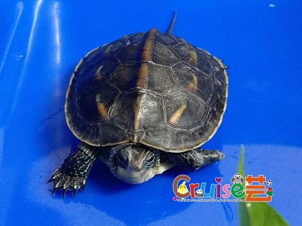 181204-(10).jpg 181204-(10).jpg