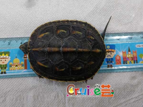 181205-(6).jpg 181205-(6).jpg