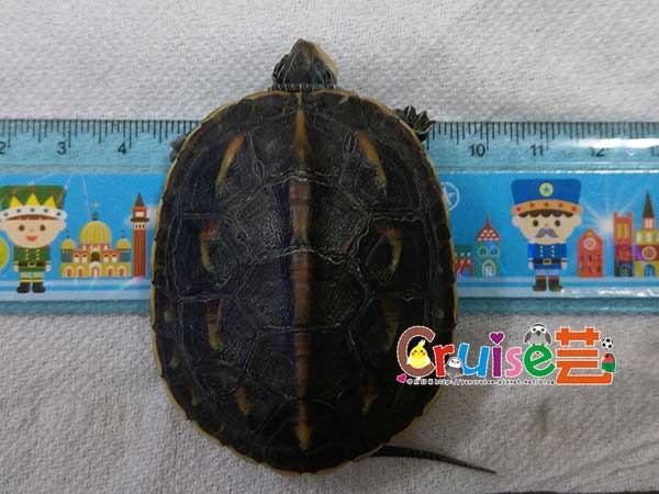 181205-(8).jpg 181205-(8).jpg