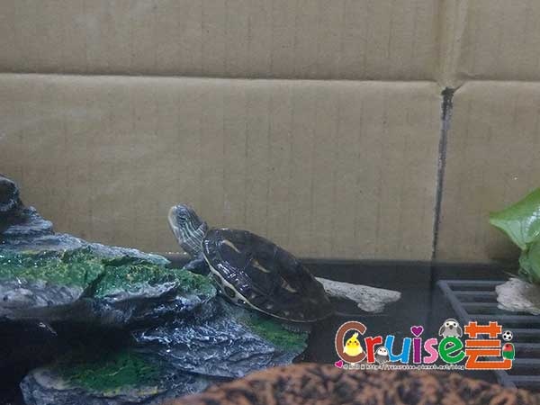 181206-(20).jpg 181206-(20).jpg