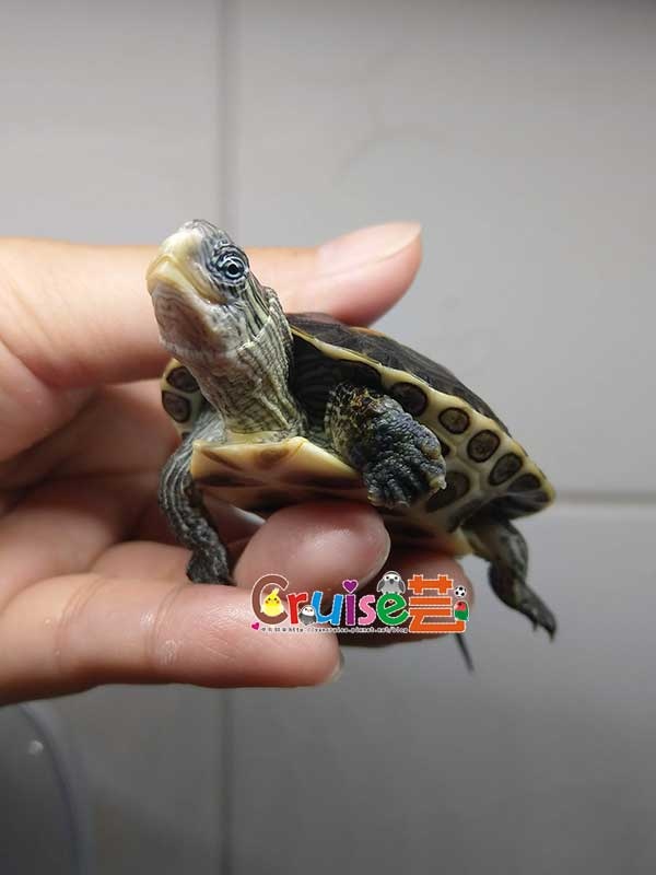 181206-(12).jpg 181206-(12).jpg