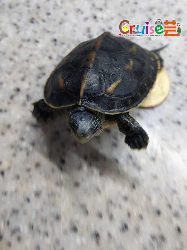 181206-(8).jpg 181206-(8).jpg