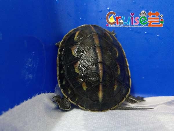 181207-(2).jpg 181207-(2).jpg