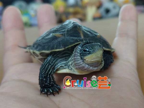 181207-(8).jpg 181207-(8).jpg