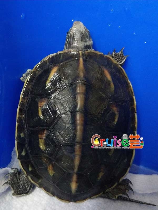 181207-(4).jpg 181207-(4).jpg