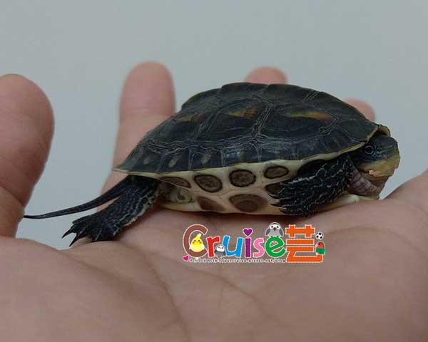 181208-(1).jpg 181208-(1).jpg