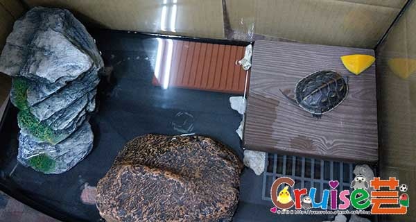 181208.jpg 181208.jpg