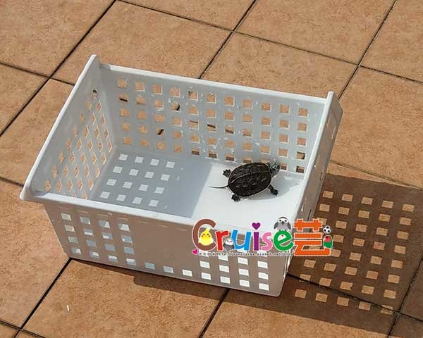 181208-(2).jpg 181208-(2).jpg