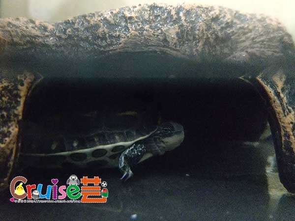 181209-(5).jpg 181209-(5).jpg