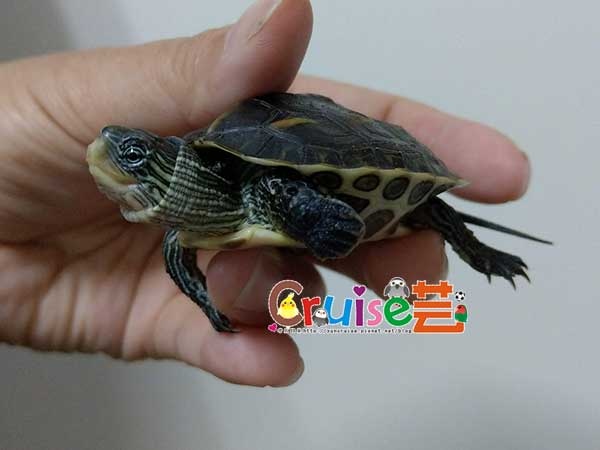 181209-(4).jpg 181209-(4).jpg