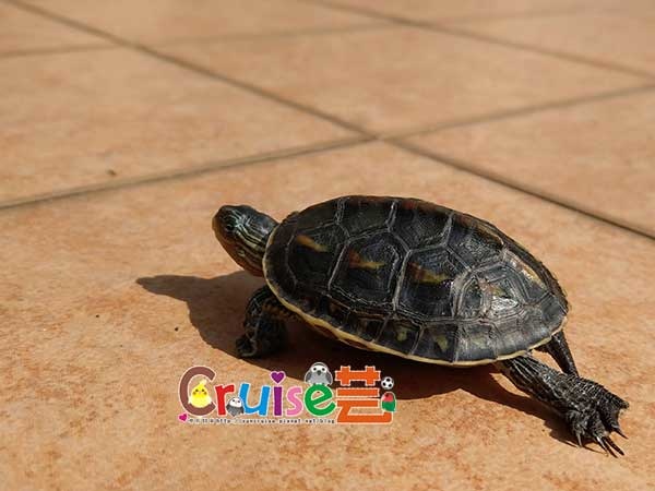 181210-(9).jpg 181210-(9).jpg