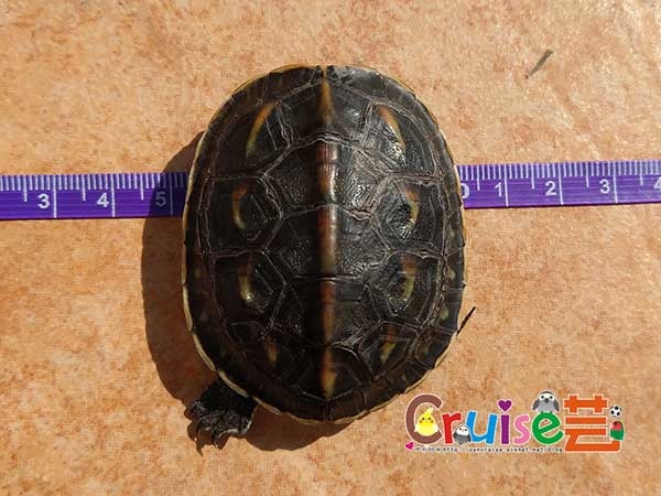 181210-(19).jpg 181210-(19).jpg