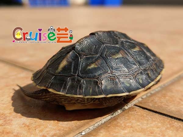 181210-(10).jpg 181210-(10).jpg