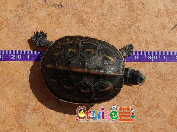 181210-(22).jpg 181210-(22).jpg