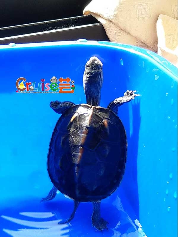 181210-(26).jpg 181210-(26).jpg