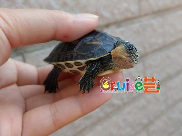 181210-(14).jpg 181210-(14).jpg