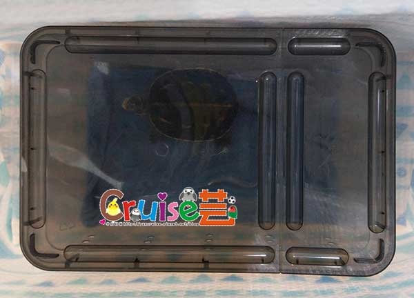 181211 (1) 181211 (1)