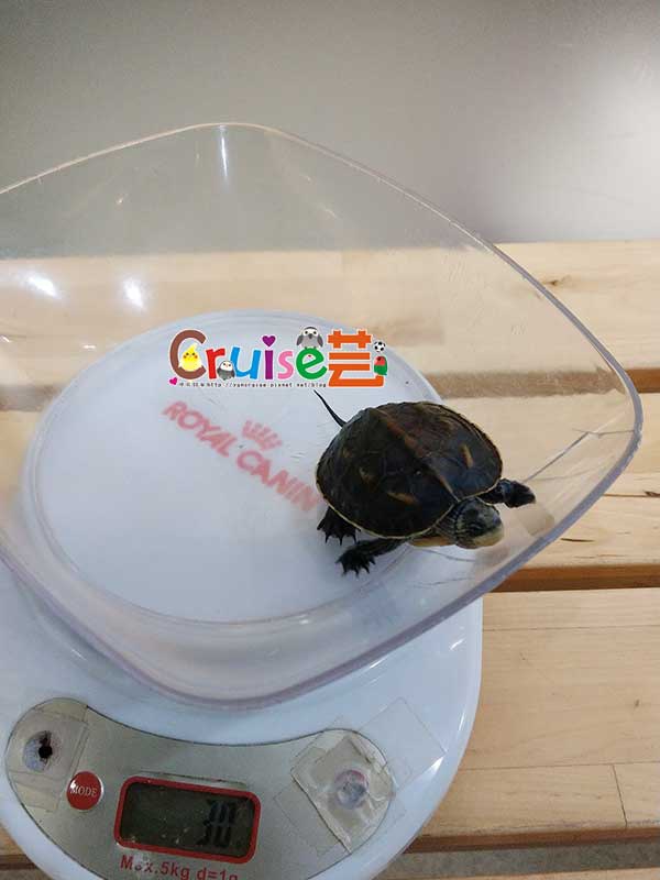 181211 (2) 181211 (2)