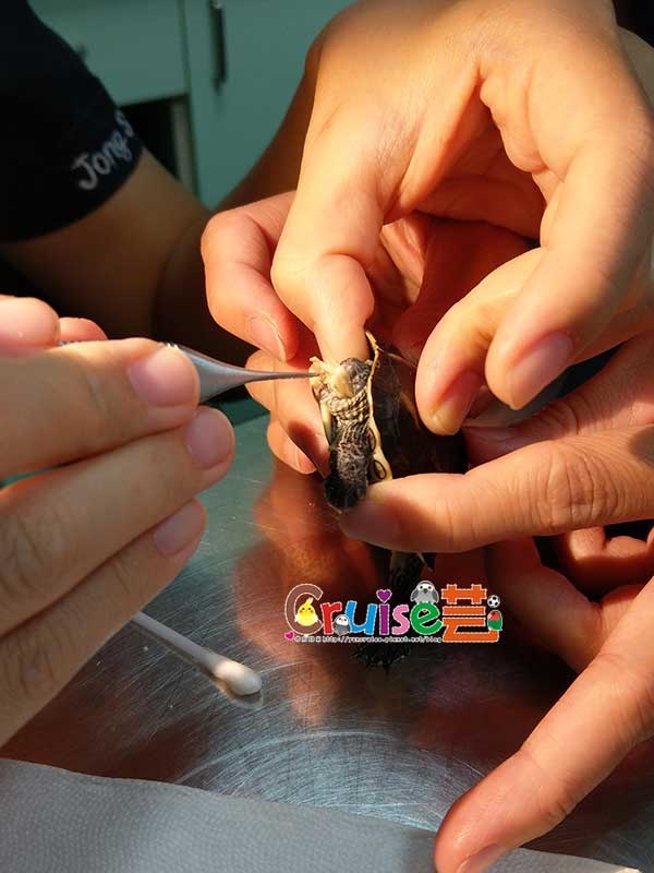 181211 (5) 181211 (5)