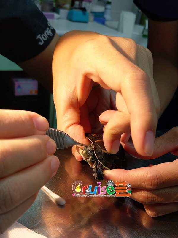 181211 (3) 181211 (3)