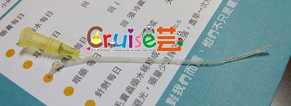 181211 (11) 181211 (11)