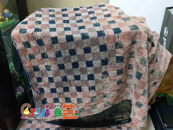 181211 (14) 181211 (14)