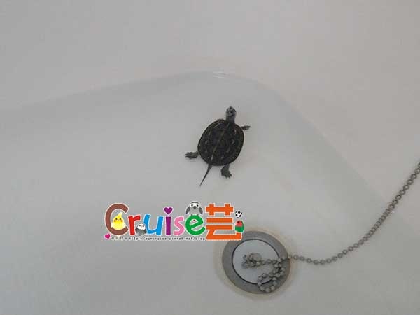 181213-(1) 181213-(1)