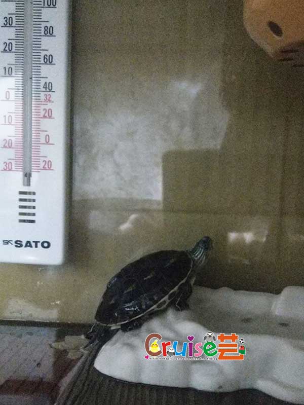 181213-(7) 181213-(7)