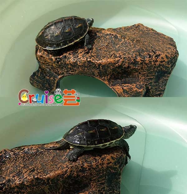 181214-(11) 181214-(11)