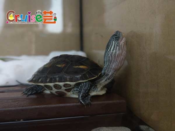 181215-(6) 181215-(6)