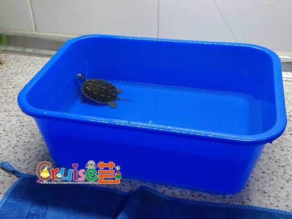 181216-(7) 181216-(7)