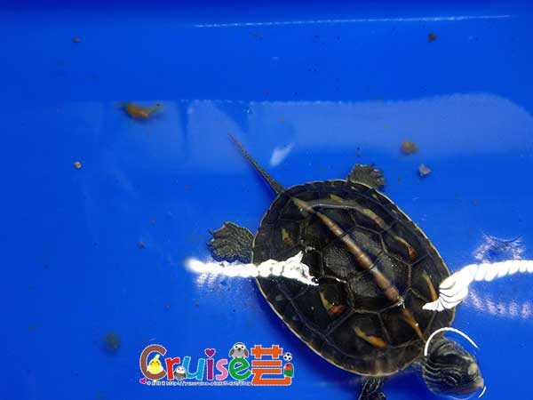 181216-(1) 181216-(1)