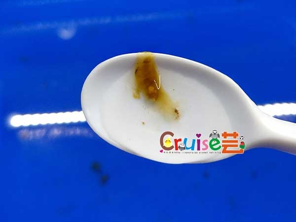 181216-丸圭大便 181216-丸圭大便