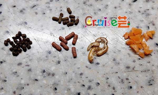 181217-(8) 181217-(8)