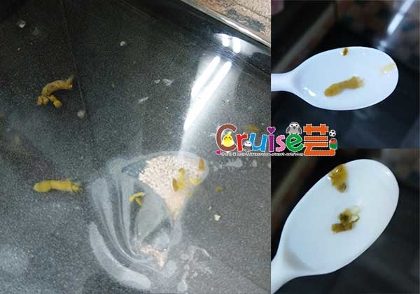 181217-丸圭大便-(1) 181217-丸圭大便-(1)