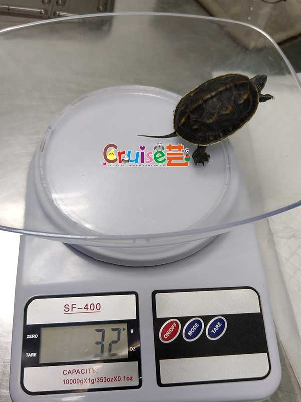 181217-(7) 181217-(7)