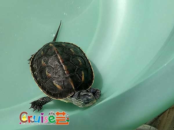 181217-(3) 181217-(3)