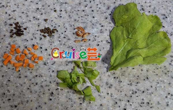 181218-(1) 181218-(1)