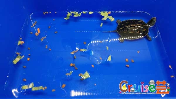 181218-(2) 181218-(2)